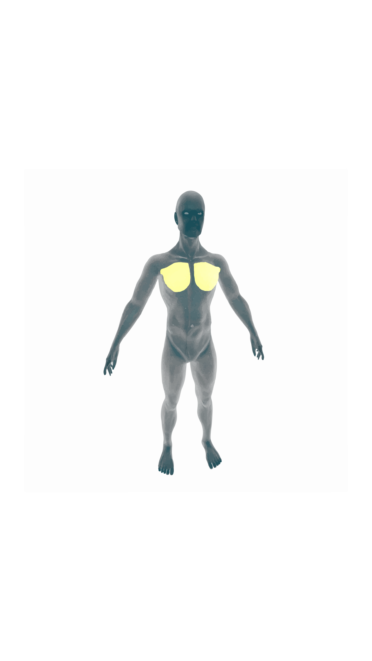 Pectoralis major