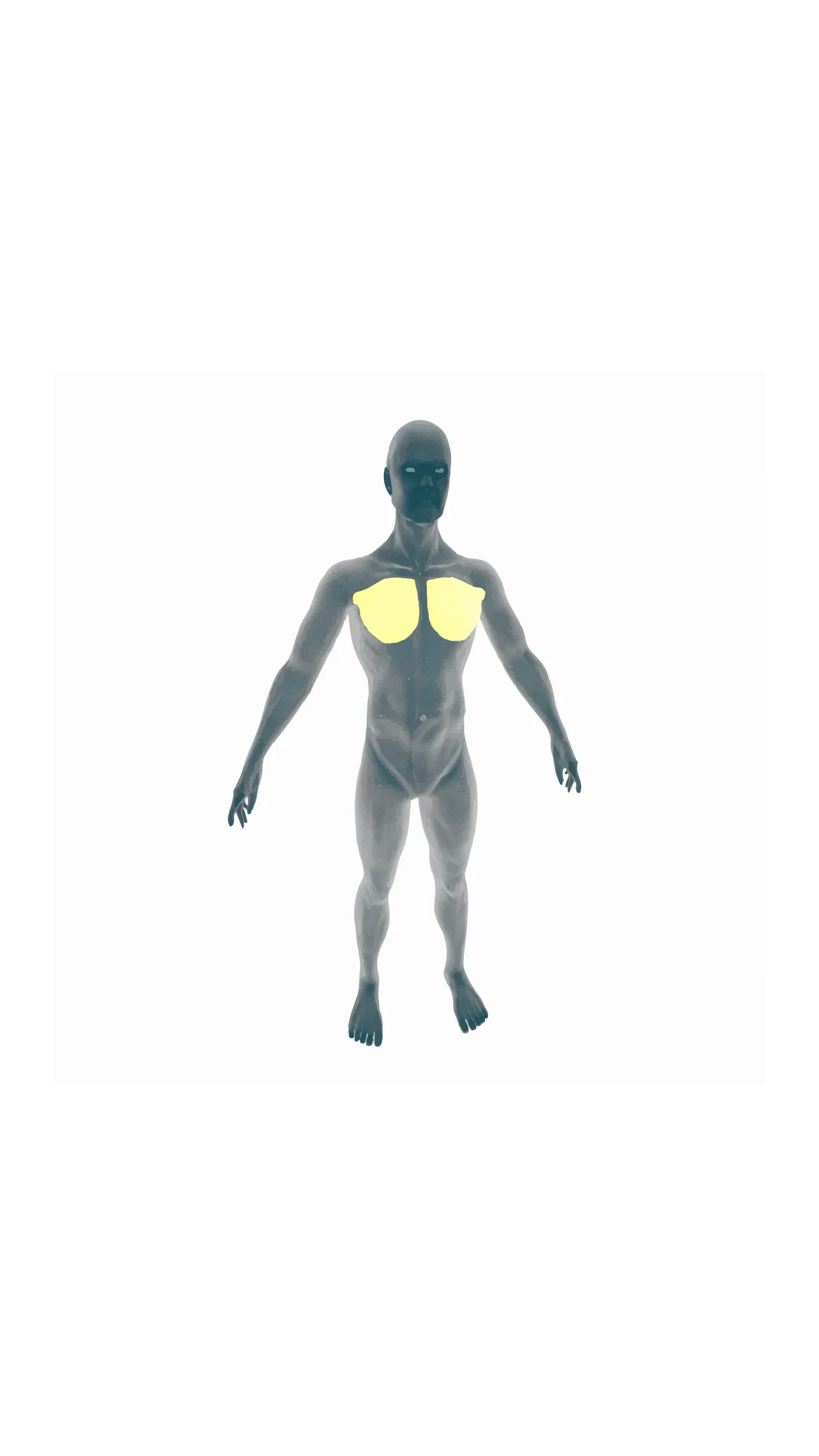 Pectoralis major