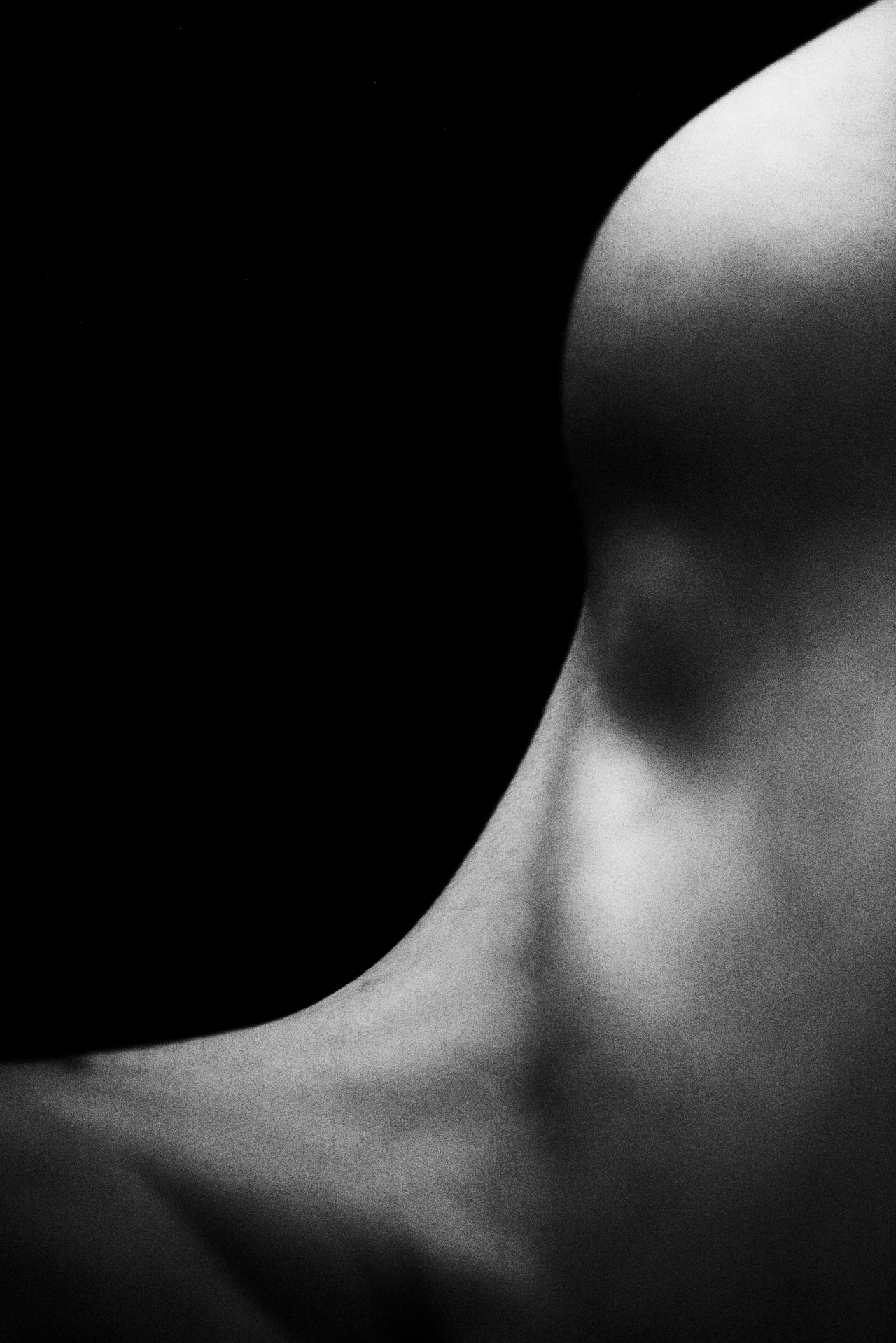 Shoulder